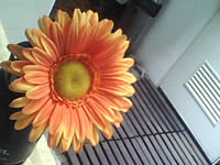 AJ M968 - เอเจ 