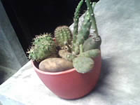 AJ M968 - เอเจ 