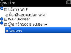 BlackBerry Curve 3G 9300- แบล็คเบอร์รี่ Curve 3G 9300