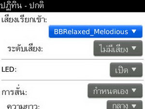 BlackBerry Curve 3G 9300- แบล็คเบอร์รี่ Curve 3G 9300