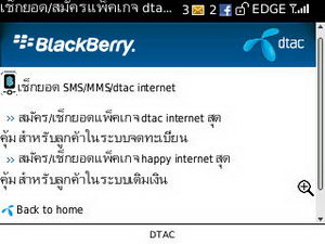 BlackBerry Curve 3G 9300- แบล็คเบอร์รี่ Curve 3G 9300