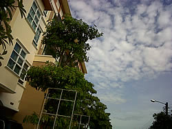 BlackBerry Curve 3G 9300- แบล็คเบอร์รี่ Curve 3G 9300