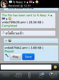 BlackBerry Torch 9800 - แบล็คเบอร์รี่ Torch 9800