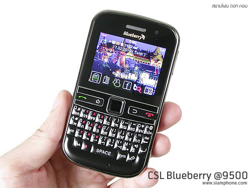 CSL Blueberry @9500 - ซีเอสแอล