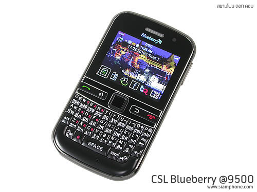 CSL Blueberry @9500 - ซีเอสแอล