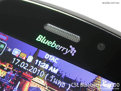 CSL Blueberry @9500 - ซีเอสแอล