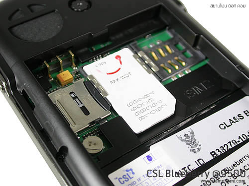 CSL Blueberry @9500 - ซีเอสแอล