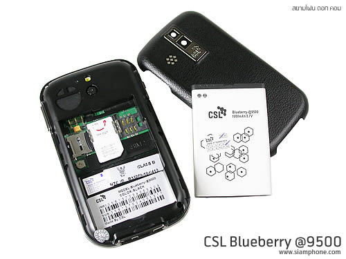 CSL Blueberry @9500 - ซีเอสแอล