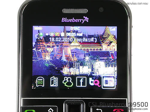 CSL Blueberry @9500 - ซีเอสแอล