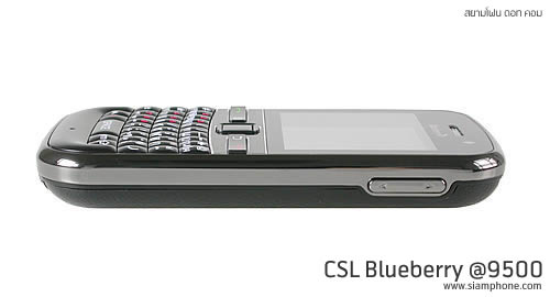 CSL Blueberry @9500 - ซีเอสแอล