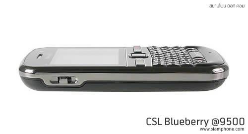 CSL Blueberry @9500 - ซีเอสแอล