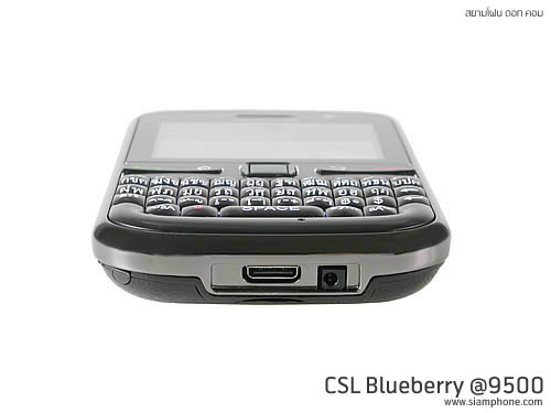 CSL Blueberry @9500 - ซีเอสแอล