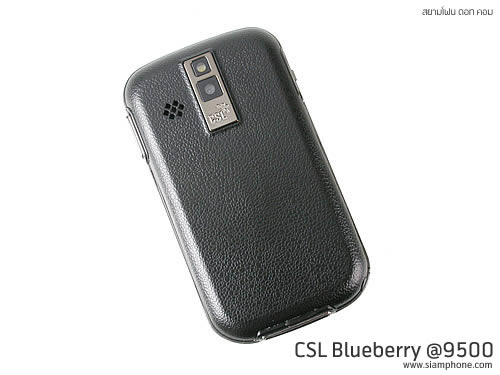 CSL Blueberry @9500 - ซีเอสแอล