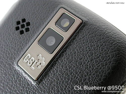 CSL Blueberry @9500 - ซีเอสแอล