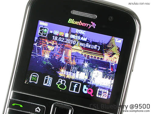 CSL Blueberry @9500 - ซีเอสแอล