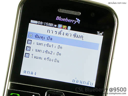 CSL Blueberry @9500 - ซีเอสแอล