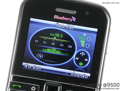 CSL Blueberry @9500 - ซีเอสแอล