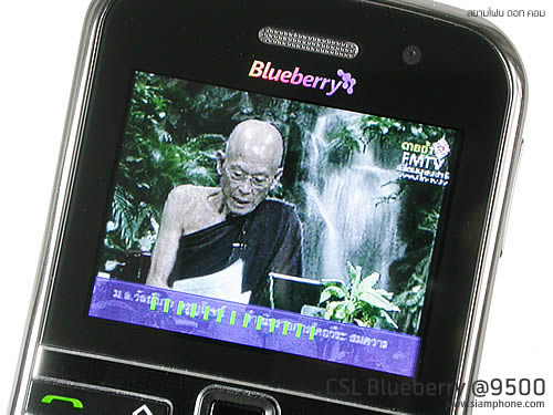 CSL Blueberry @9500 - ซีเอสแอล