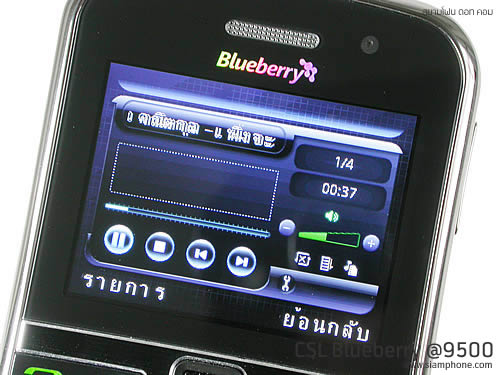 CSL Blueberry @9500 - ซีเอสแอล