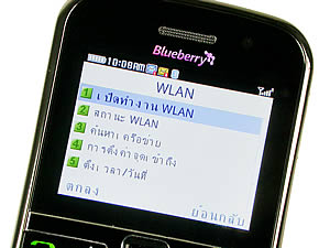 CSL Blueberry @9500 - ซีเอสแอล