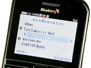 CSL Blueberry @9500 - ซีเอสแอล