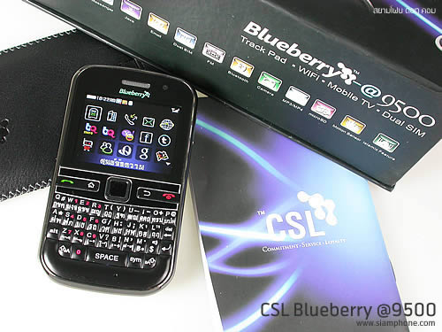 CSL Blueberry @9500 - ซีเอสแอล