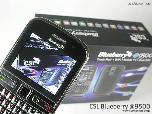 CSL Blueberry @9500 - ซีเอสแอล