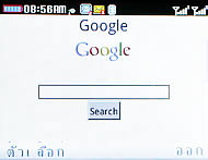 CSL Blueberry @9500 - ซีเอสแอล