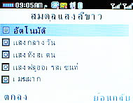 CSL Blueberry @9500 - ซีเอสแอล