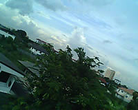 CSL Blueberry @9500 - ซีเอสแอล