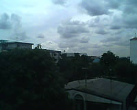 CSL Blueberry @9500 - ซีเอสแอล