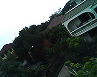 CSL Blueberry @9500 - ซีเอสแอล