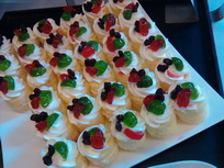 Garmin Asus nuvifone A10 - การ์มิน อัสซุส  nuvifone A10