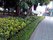 Garmin Asus nuvifone A10 - การ์มิน อัสซุส  nuvifone A10