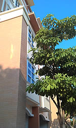 Garmin Asus M10 - การ์มิน อัสซุส M10