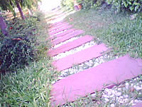 H2O X6 - เอชทูโอ