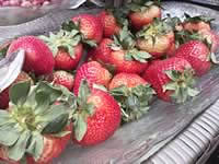 i-mobile 8500 Android - ไอโมบาย 8500