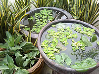 i-mobile TV640 - ไอโมบาย TV640