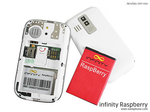 Infinity RaspBerry - อินฟินิตี้ RaspBerry