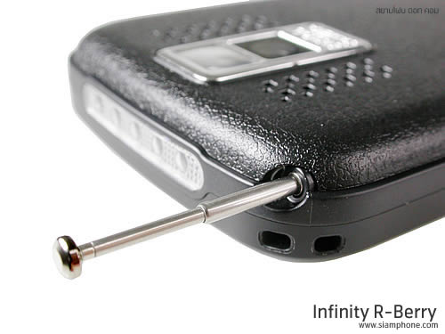 Infinity R-Berry - อินฟินิตี้ R-Berry