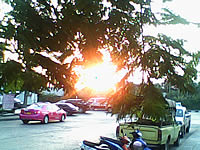  infone W500 - อินโฟน