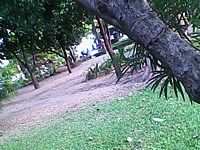  infone W500 - อินโฟน