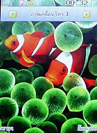  inovo I-T3002 - ไอโนโว่ I-T3002