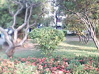  inovo I-T3002 - ไอโนโว่ I-T3002