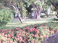  inovo I-T3002 - ไอโนโว่ I-T3002