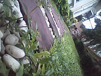 inovo I3291B - ไอโนโว่