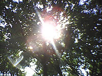  inovo i540a - ไอโนโว่ i540a