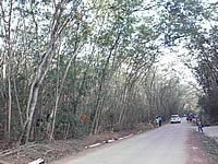 LG Lollipop GD580 - แอลจี Lollipop GD580