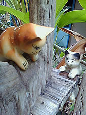 OPPO Blink blink bloom (U525T) - ออปโป้