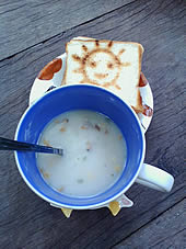 OPPO Blink blink bloom (U525T) - ออปโป้